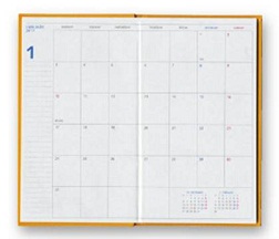 fieldnotesmihirakiyellow.jpg