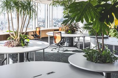 Office A (phase2)のサムネイル