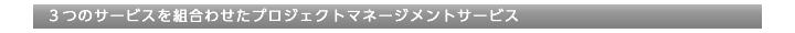３つのサービスを組合わせたプロジェクトマネージメントサービス