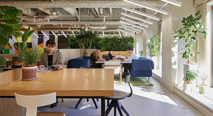 7_2024-first-half-office-trend.jpg