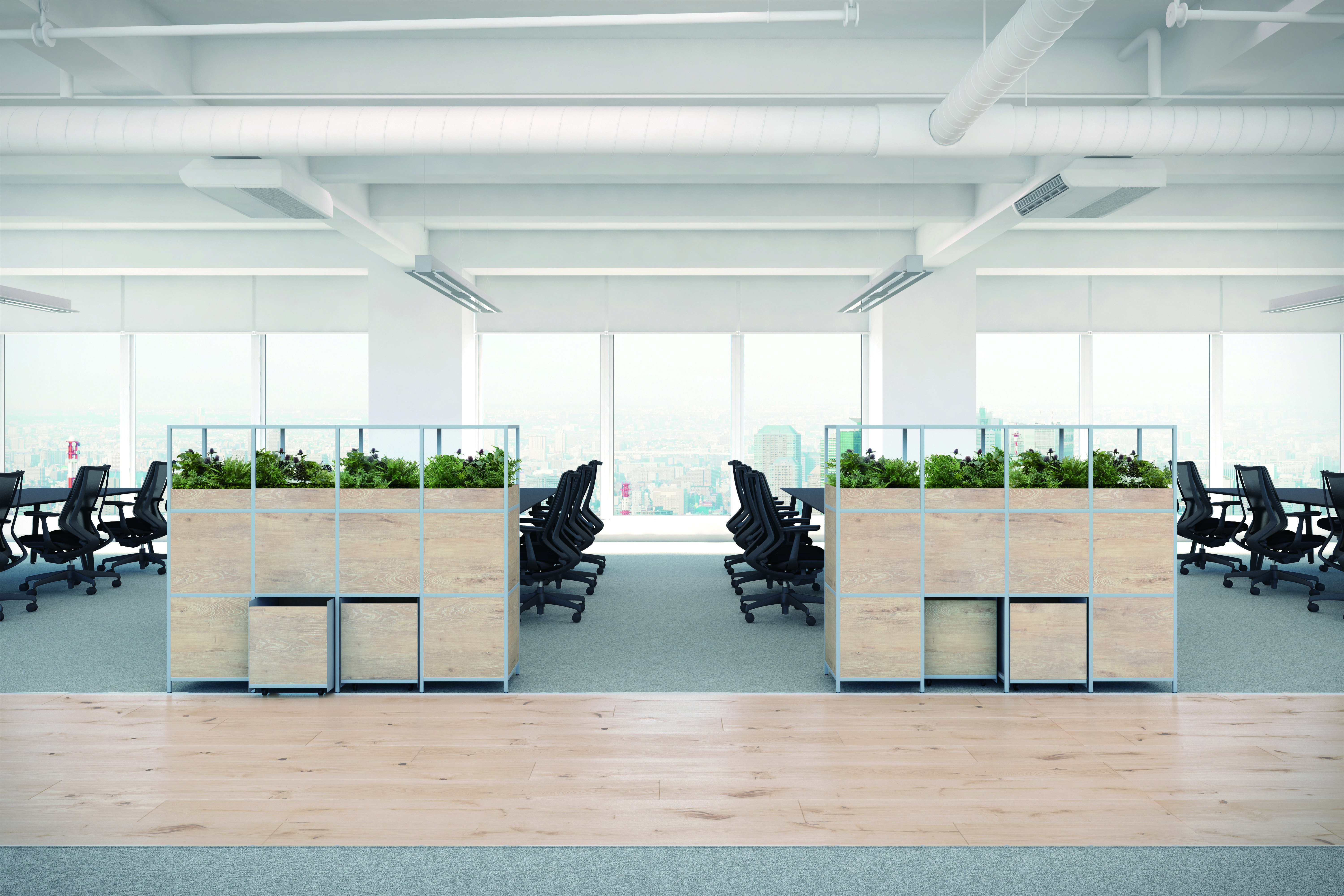 Scene Image