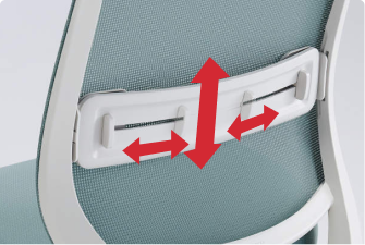 Lumbar Support