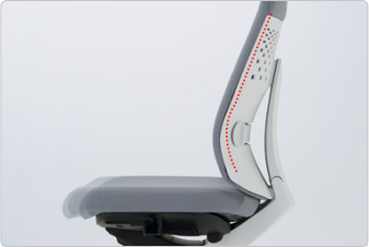 The Lumbar Support