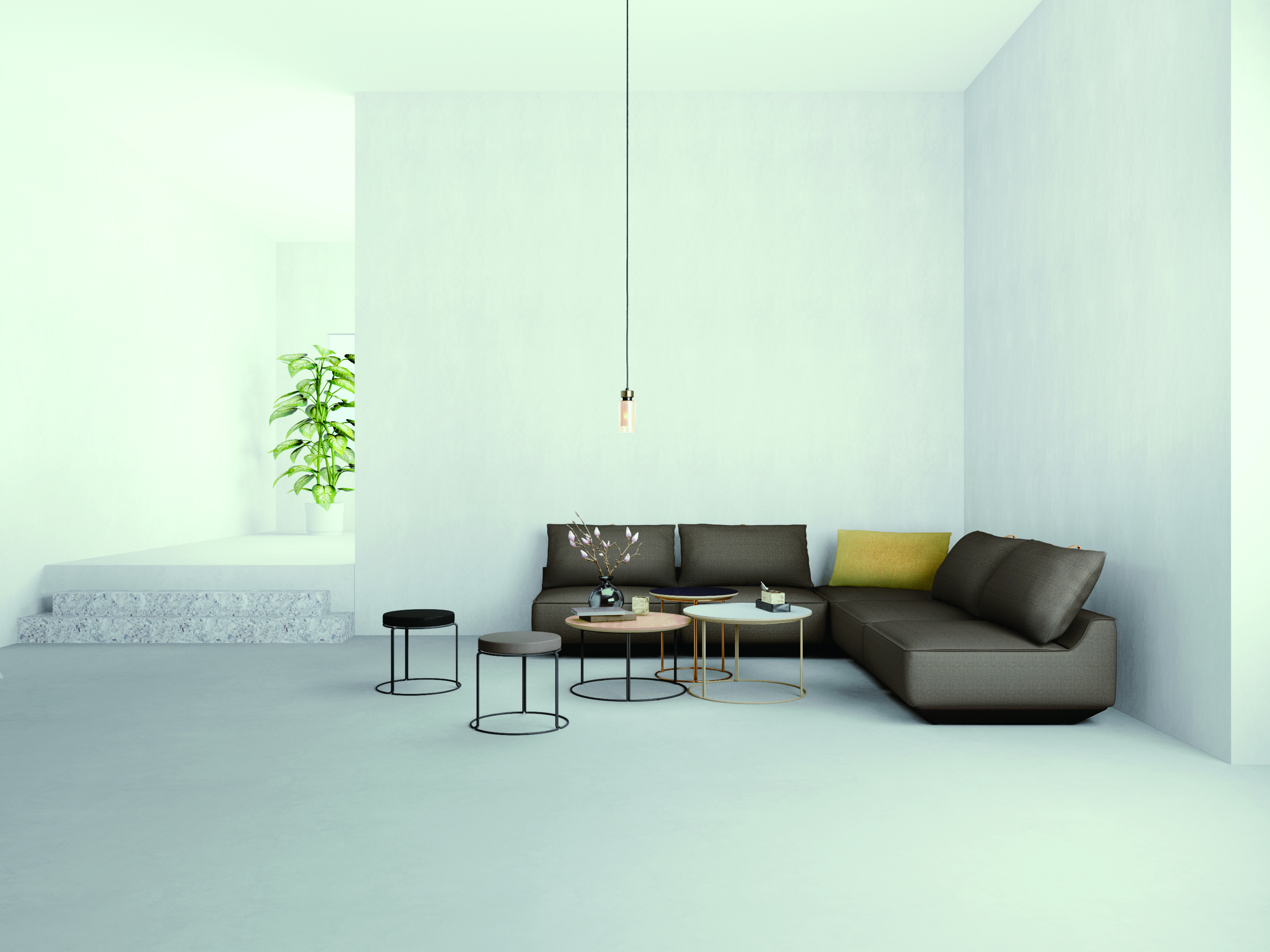 Scene Image