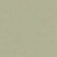 V1 ピーグリーン