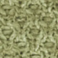 KAV31 グラスグリーン