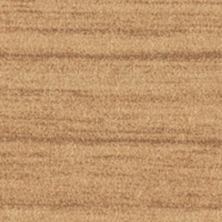 DP2 ラスティックミディアム