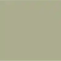 V1F ピーグリーン