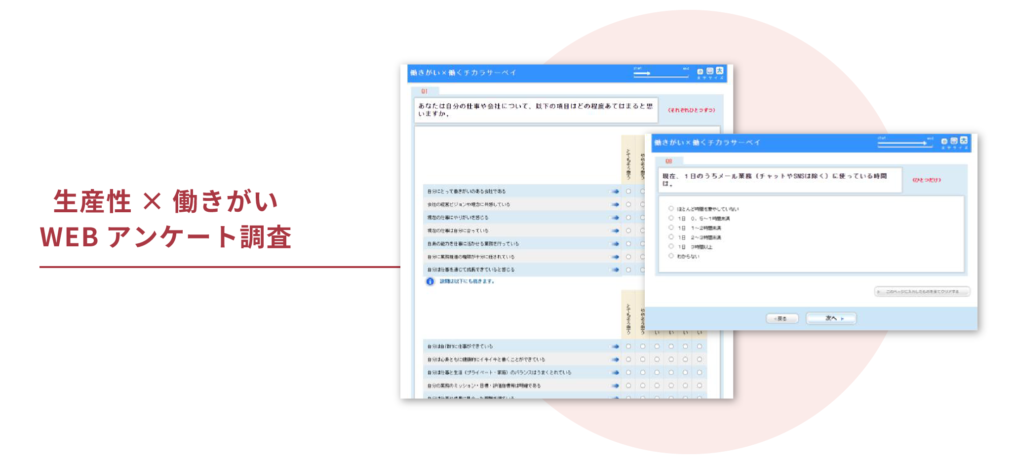 生産性・働きがい
              WEB アンケート調査