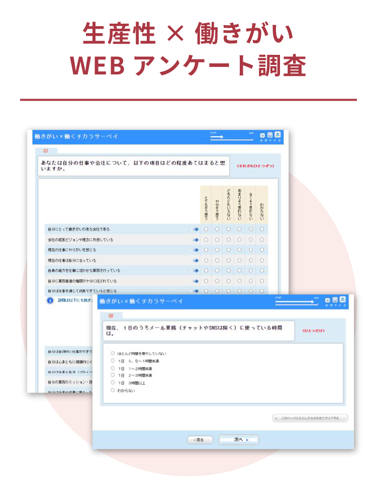 生産性・働きがい
              WEB アンケート調査