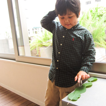 4才